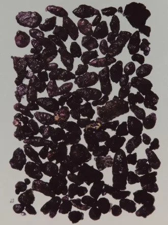 (100 Ml) Solar Linen Eau De Parfum