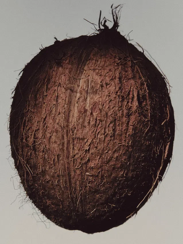 (100Ml) Blond Vanilla Eau De Parfum (100Ml) Blond Vanilla Eau De Parfum