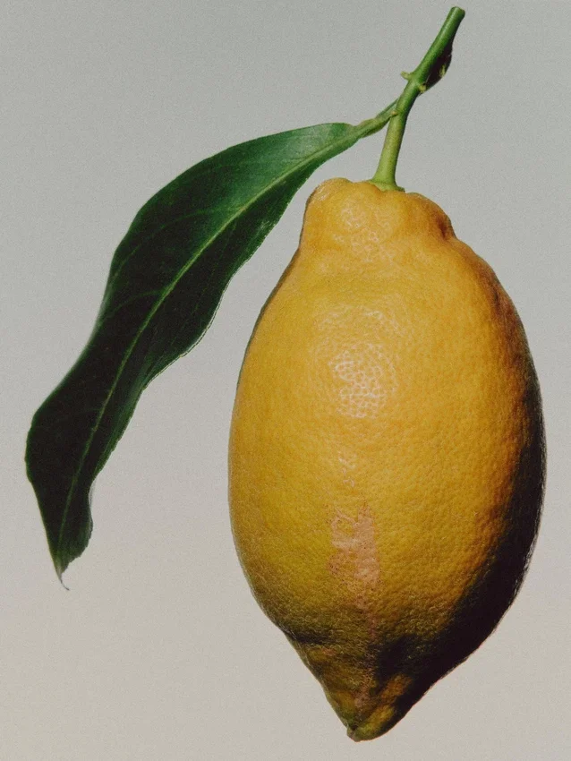 (100Ml) Blue Incense Eau De Parfum (100Ml) Blue Incense Eau De Parfum